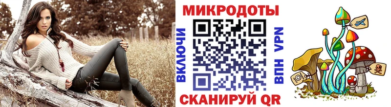 Псилоцибиновые грибы Psilocybe  Купить  Черемхово 